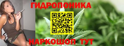 2c-b Пугачёв